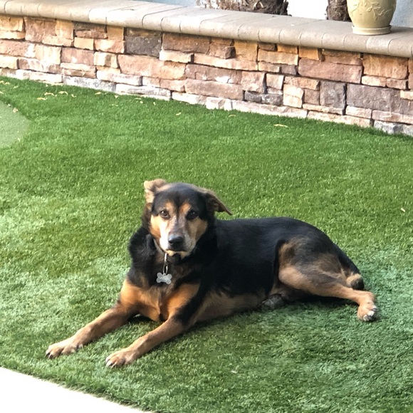 Meet your Posher, Kaitlyn - Picture 2 of 2